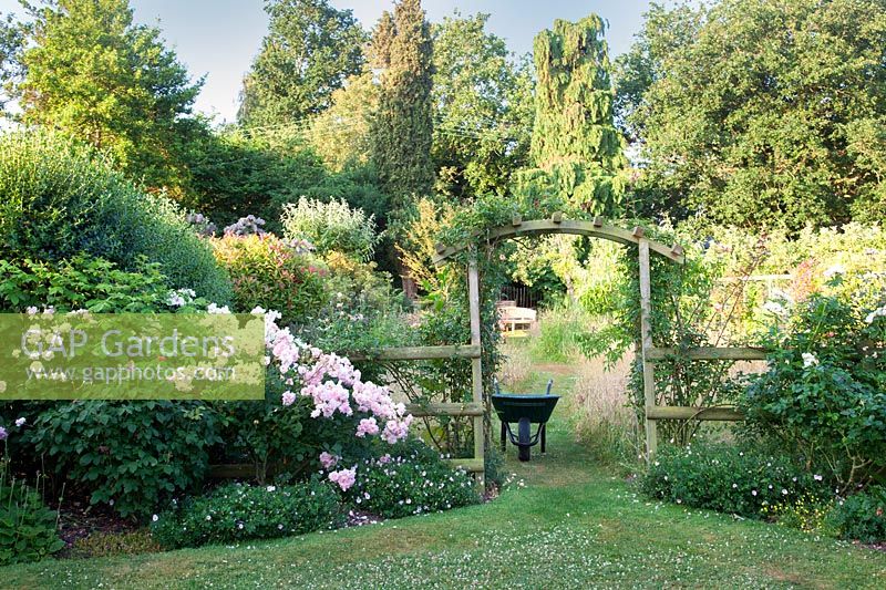 Wooden archway with wheelbarrow and rosa 