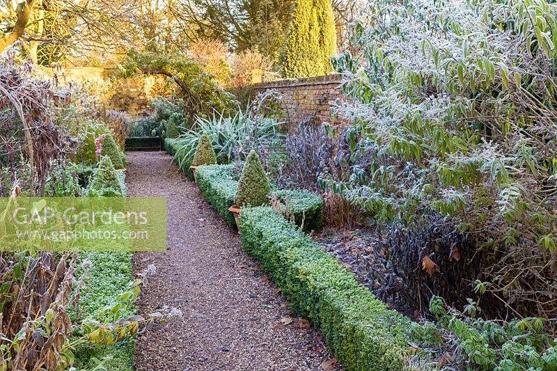 The Long Walk at Wollerton Old Hall Garden, Shropshire - Rosa 'Crimson Showers, Buddleja 'Empire Blue' and Aloysia citrodora lemon verbena
