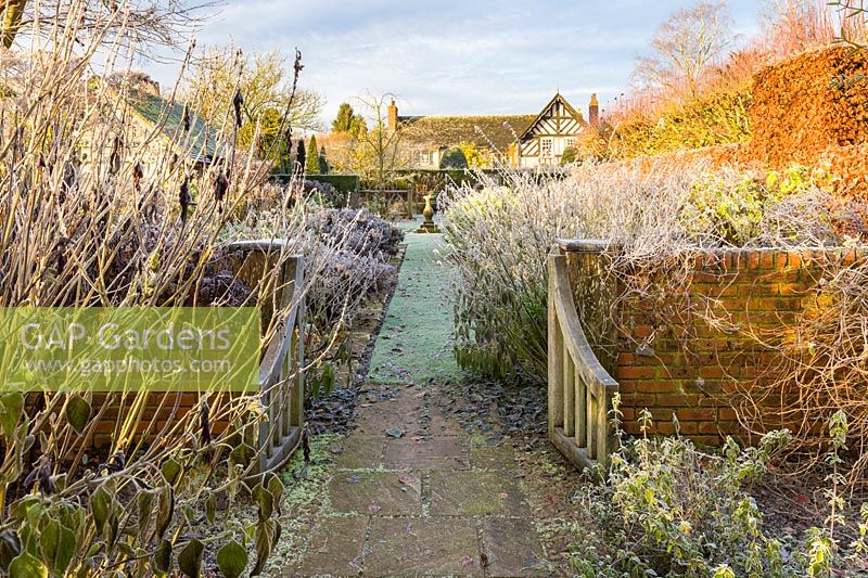 The Sundial Garden at Wollerton Old Hall Garden, Shropshire - Saliva 'Amistad', Eupatorium atropurpureum and Salvia 'Phyllis' Fancy' 