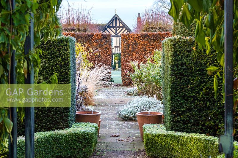 The view into the Lanhydrock Garden from The Croft Garden at Wollerton Old Hall Garden, Shropshire - clipped yew 'Taxus', box 'Buxus' and beech 'Fagus' hedges and Rosa 'Frensham' and Molinia 'Heidebraut 