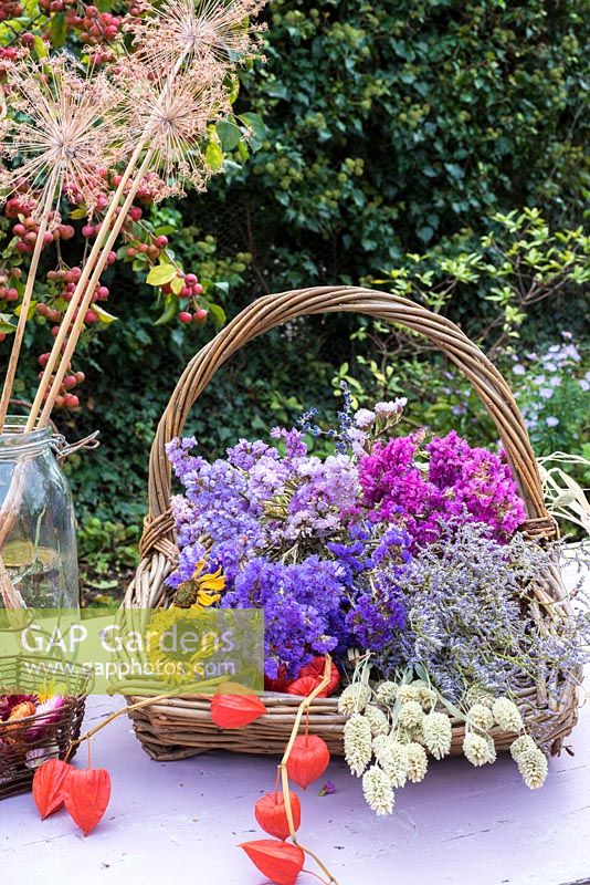 Trug of dried flowers including Statice, sea lavender, Grasses and Chinese lanterns