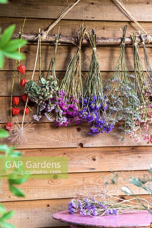 Bunches of dried flowers displayed hanging on rustic branch