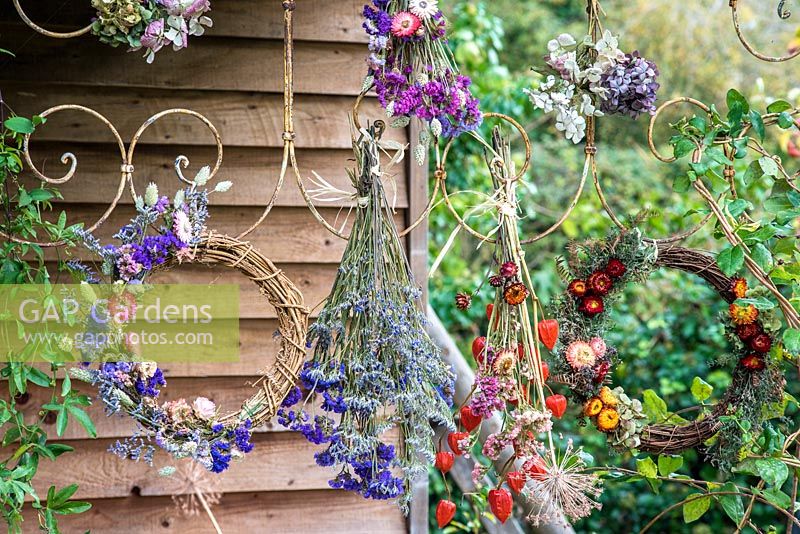 Bunches of dried flowers and wreaths displayed hanging on metal frame