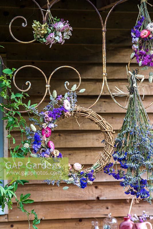 Bunches of dried blue and pink flower bunches and wreath displayed hanging on decorative metal frame