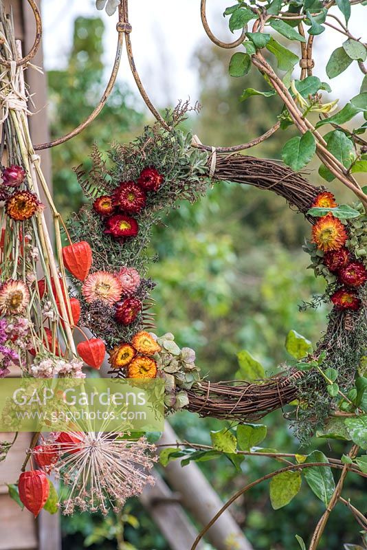 Dried flower wreath - Thyme, Hydrangeas and everlasting flowers hanging on metal frame