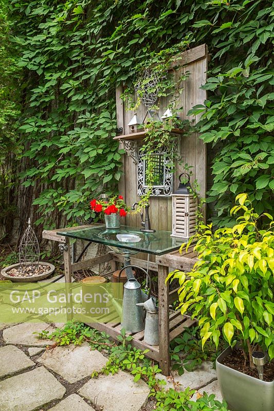 Moulded clear glass sink in old wooden vanity with red Impatiens - Balsam flowers in metal vase and Ampelopsis - Virgin vines growing on wall in backyard garden