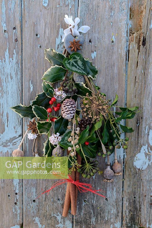 A foraged Christmas tree using Papaver - Poppy seed heads, Hedera - Ivy seed heads and flowers, Ilex - Holly leaves and berries, Allium seed head, Fir cones, Cyclamen leaves, Muscari - Grape hyacinth seed head, Viburnum flowes, pebbles, Star anise, cinnamon sticks tied with raffia and Cyclamen flowers as the star. On an old weathered door.
