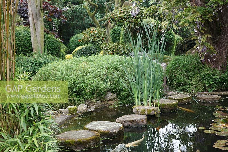 Koi carp pond with circular stone stepping stones at Pure Land Japanese Meditation Garden