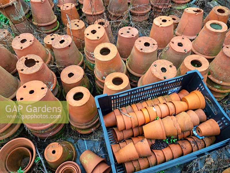 Terracotta flower pot store