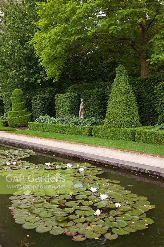 Classical pool with waterlilies with topiary and hedges in beech, yew and box  - Holland