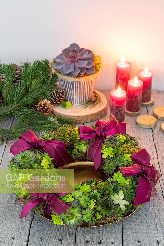 Succulent wreath on gold plate with Sempervivum Bronco, Crassula, red pillar candles and red ribbons on rustic table top 