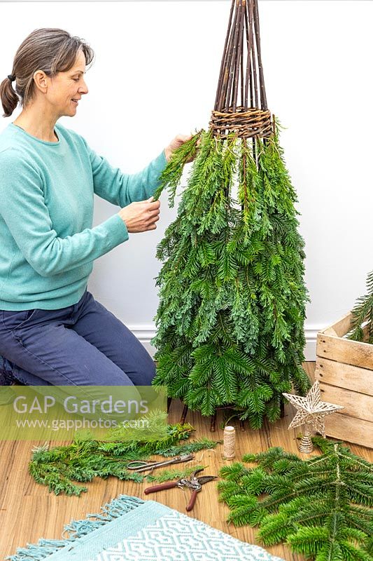 Woman using brown garden twine to attach pieces of conifer - juniperus foliage to willow obelisk frame