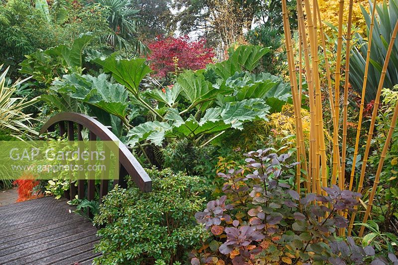 Oriental bridge in 'The Jungle' at Four Seasons Garden