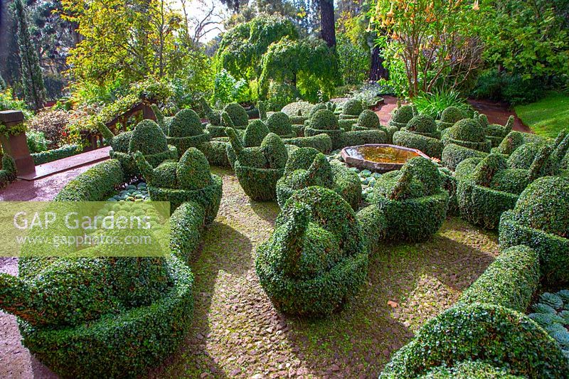 Topiary garden - Jardim Botanico Gardens - Botanical Garden, Funchal, Madeira