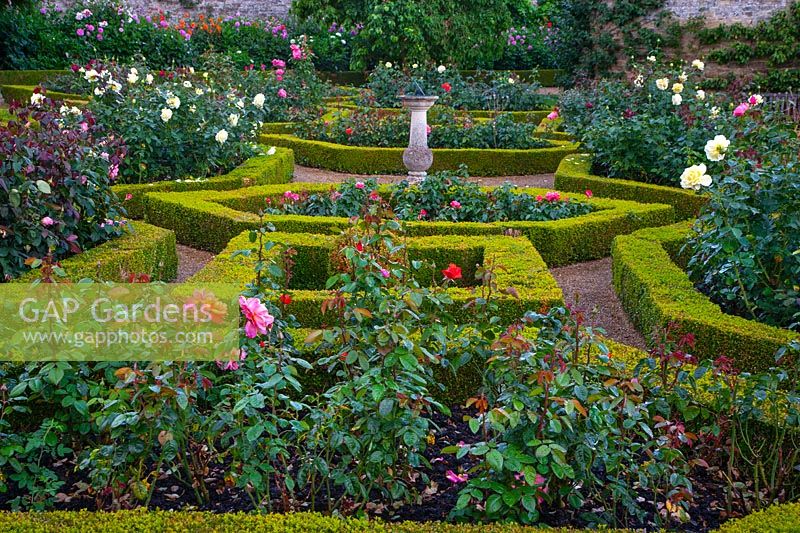 Formal garden with sundial and Buxus parterre - Waterperry Garden, Oxfordshire August 
