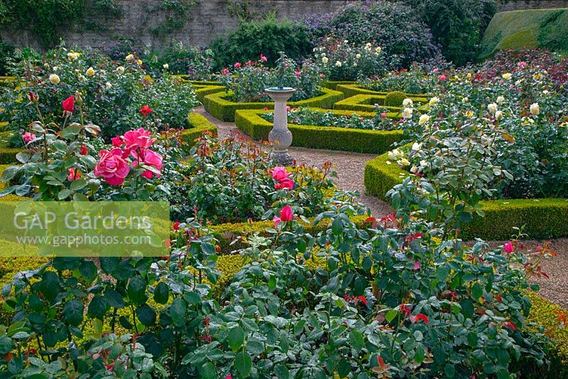 Formal garden with sun dial and Buxus parterre - Waterperry Garden, Oxfordshire 