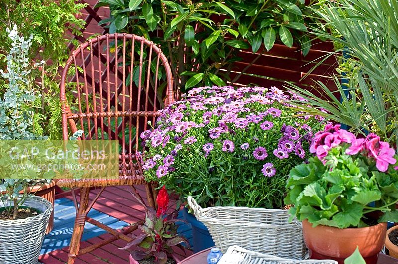 Wicker chair on patio with potted spring containers