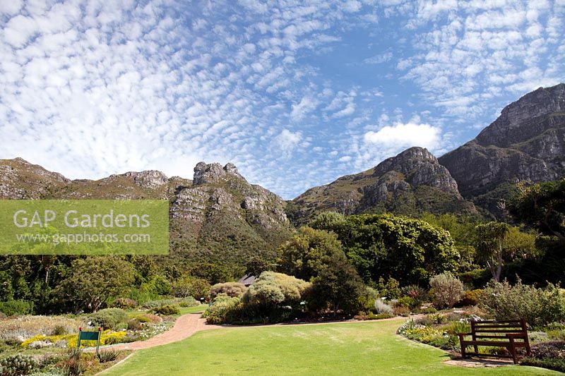 Kirstenbosch National Botanical Gardens, Cape Town, South Africa
