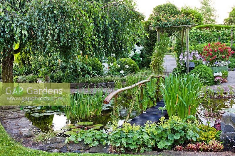 Natural pond area and with marginal planting including Alchemilla mollis, Sedum and lilies.