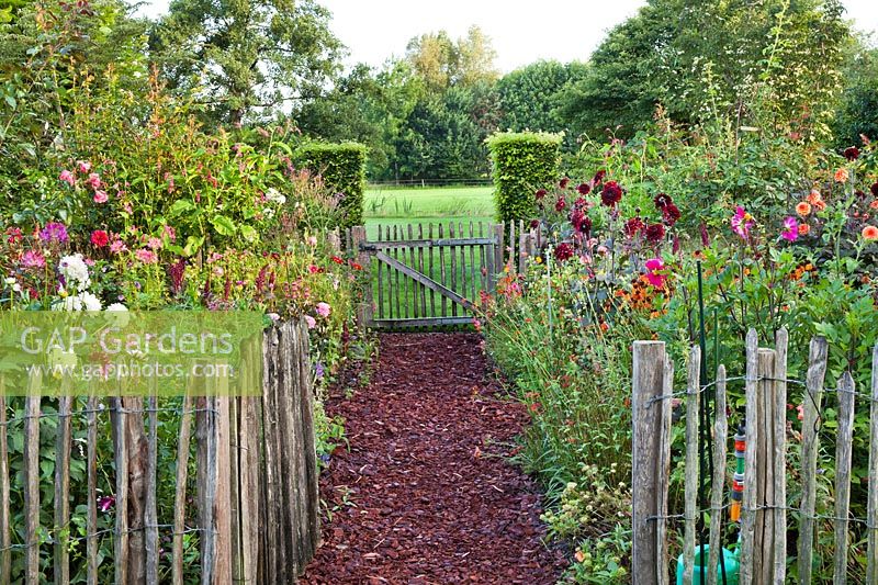 Fenced garden with a bark pathway. 