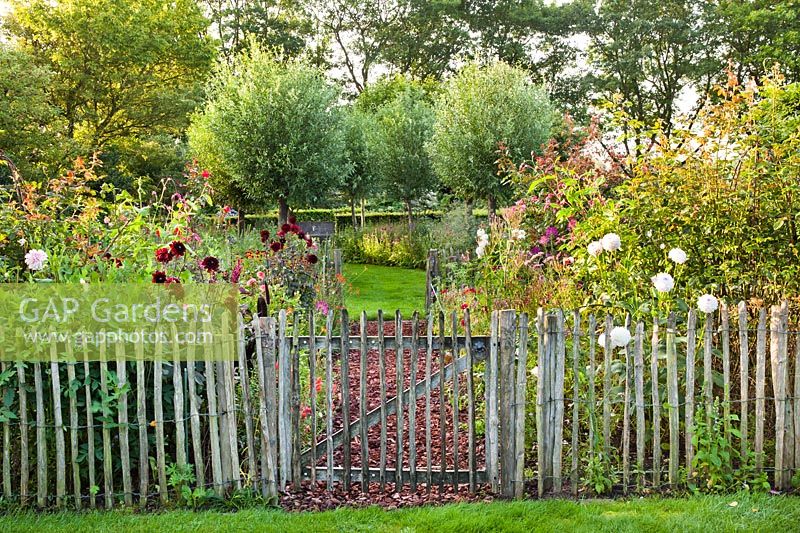 Wooden fence with an entrance to the garden.