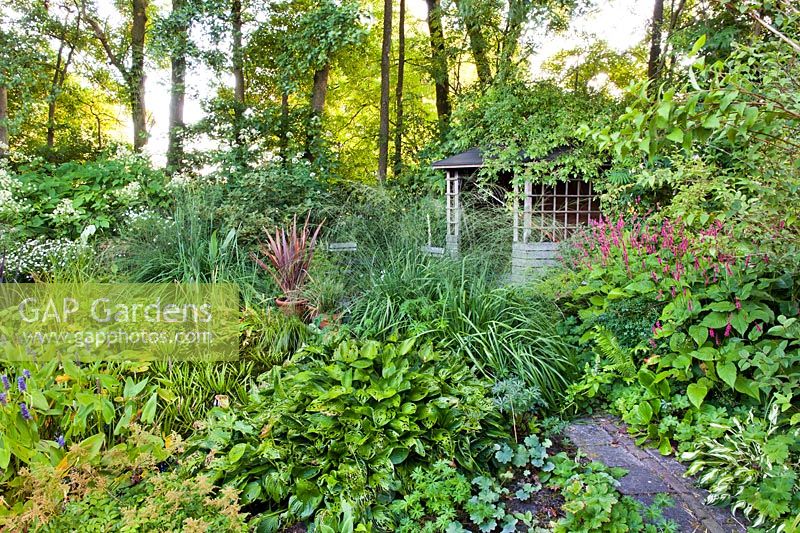 Bog garden with mixed plantings and a summerhouse.