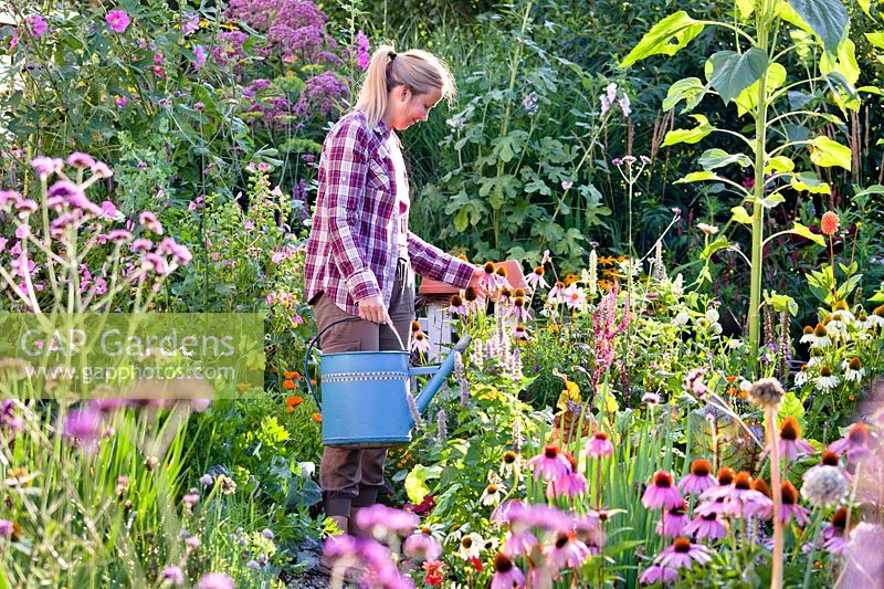 Woman with a watering can in kitchen garden. 