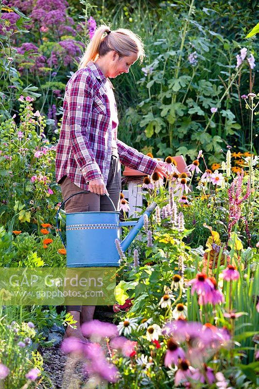 Woman with a watering can in kitchen garden.
