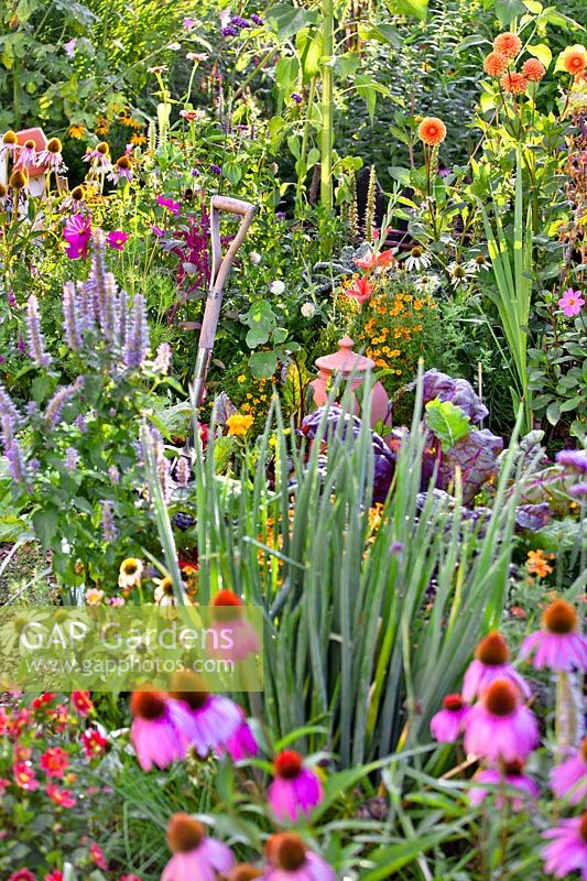 Flowers in vegetable garden to attract wildlife. 