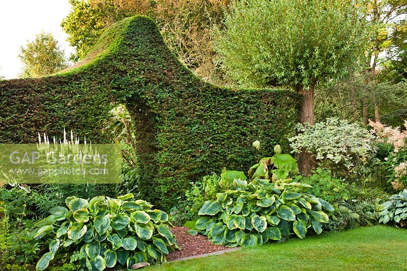 Topiary yew arch.