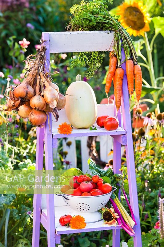 Ladder with harvested vegetables including carrots, onions, tomatoes, pumpkins.