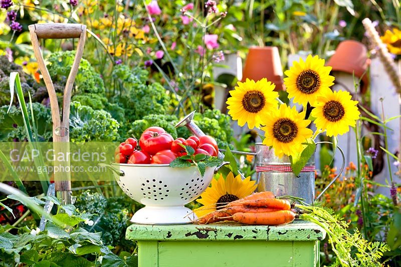 Sunflowers and harvested vegetables on display in a garden