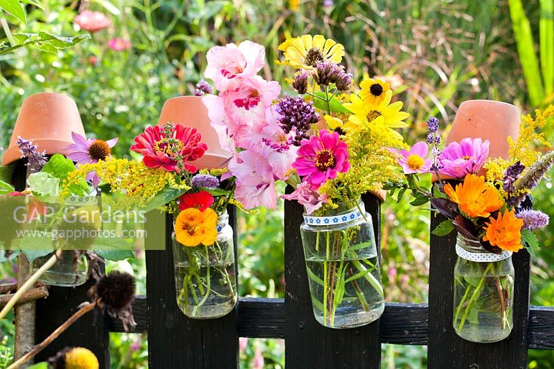 Summer flowers in glass jars hanging on a fence- Zinnia, Coneflowers, Verbena, Solidago, Gladioli, Nasturtium and Marigold