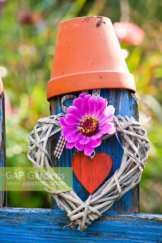 Heart wreath with Zinnia flower, on fence with clay pot