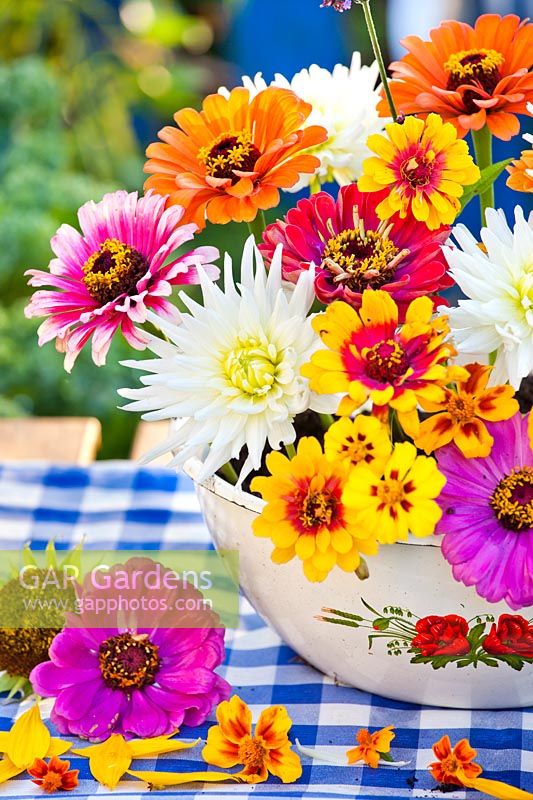 Bowl with flowers: Dahlia, Zinnia, Nasturtium, Signet Marigold, Sunflower