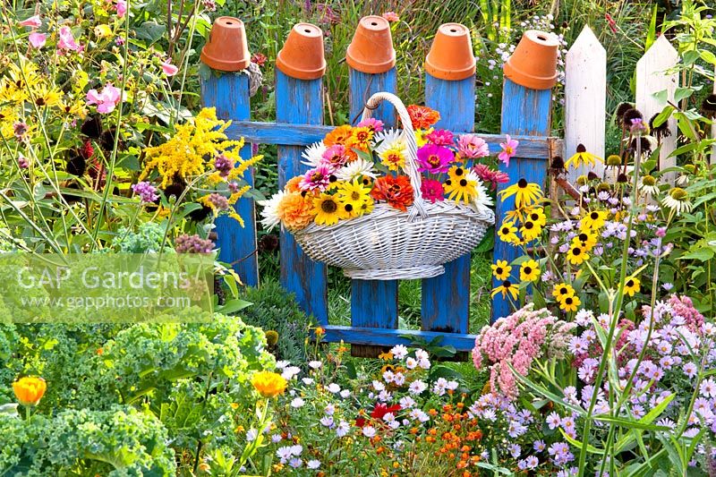 Hanging basket with summer flowers hanging on a fence - sunflower, zinnia, dahlia and rudbeckia.