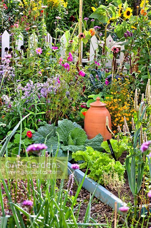 Vegetables, herbs and flowers in late summer.