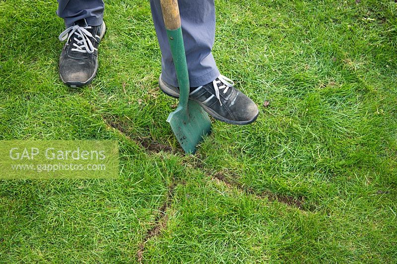 Repairing a dip in a lawn, cutting an cross shape with a spade and lifting turf