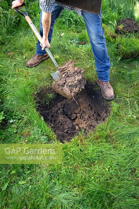 Checking soil profile by digging an inspection hole. Step 3 Excavate half the trench a further 30cm to a depth of 60cm.