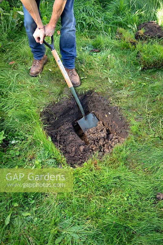 Checking soil profile by digging an inspection hole. Step 3 Excavate half the trench a further 30cm to a depth of 60cm.
