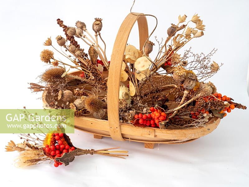 Trug of dried flowers and seed heads for Christmas, autumn, winter arrangements.