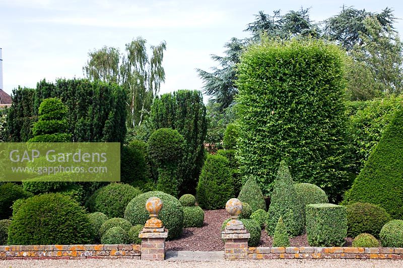Formal topiary garden with Buxus sempervirens - Box - balls and spirals, Taxus baccata - Yew - pyramids, and Prunus lusitanica - Portugese Laurel. 