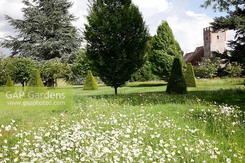 A country garden with wild flower meadows of Oxeye Daisies and Meadow Buttercup, formal topiary, antique stone benches and a church view.