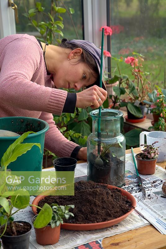 Woman using a long handled spoon to excavate a hole and fill in compost around the roots of houseplant in bottle garden.