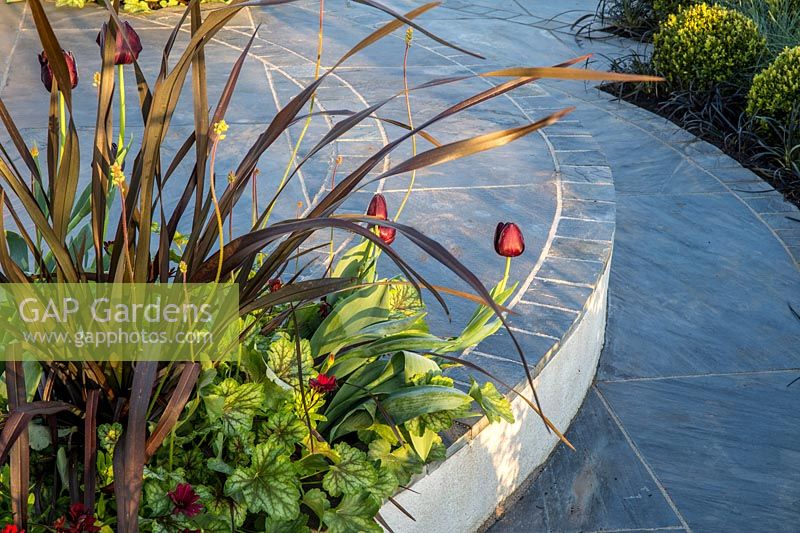 Stone steps on a patio with bronze colour planting borders including Tulip 'Queen of the Night' and Phormium 'Platt's Black'. Hidden Gems of Worcestershire garden, RHS Malvern Spring Festival, 2016.  Design: Nikki Hollier
