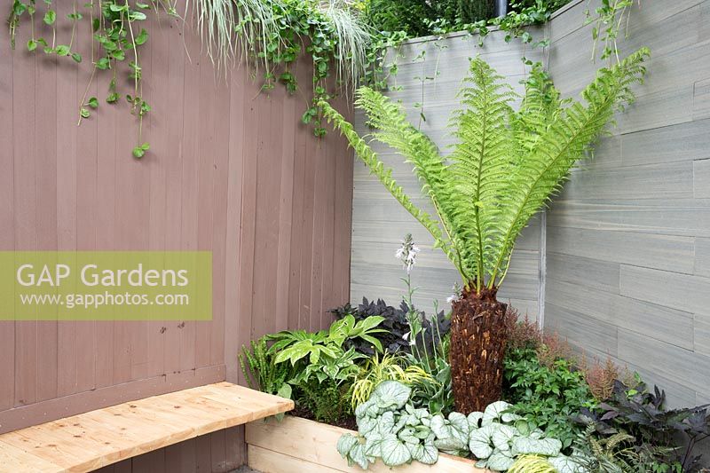 Seating area with wooden bench, timber walls and planting of shade-loving plants including Dicksonia antartctica. Live Garden at RHS Tatton Park Flower Show, 2017. Designers: Martin Williams, Dan Newby