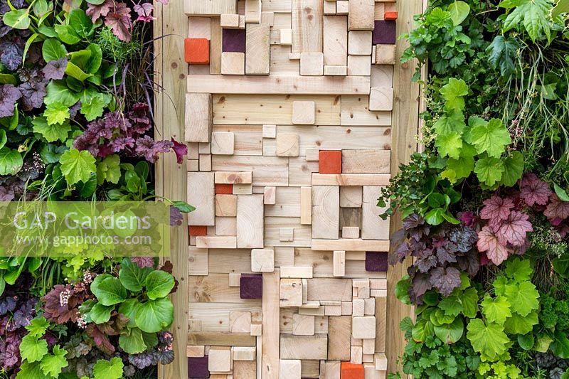 A vertical gardening living wall and modern wooden fence made from old timber cut offs. For The Love Of It, RHS Tatton Park Flower Show, 2017. garden Designer: Pip Probert