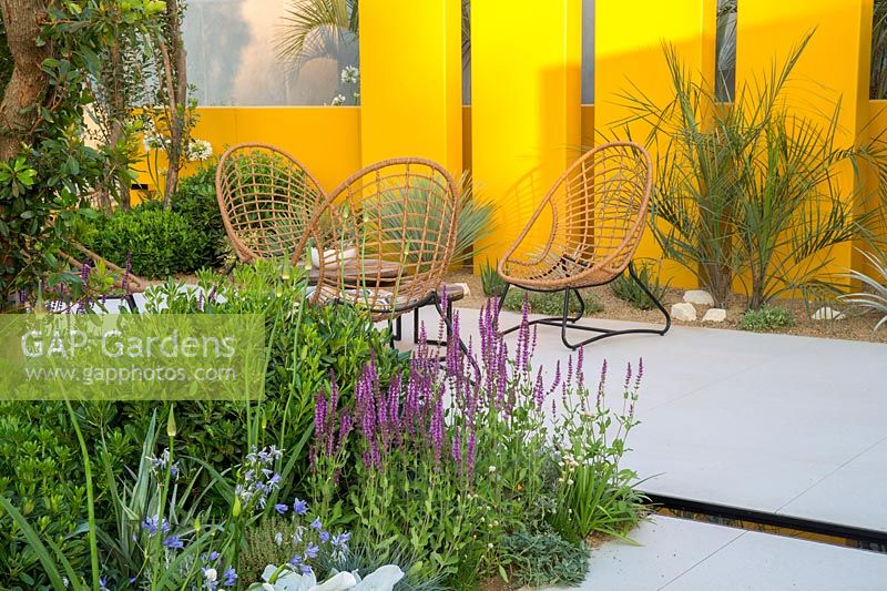 Mediterranean climate garden grey stone paved patio seating area with table and cane chairs - yellow screen wall a rill and planting of Salvia nemorosa in the foreground, dry gravel bed with cacti, aloes and yucca plants in the background  Santa Rita Living La Vida 120 Garden. RHS Hampton Court Flower Show July 2018 - Designer: Alan Rudden - Sponsor Santa Rita wine 