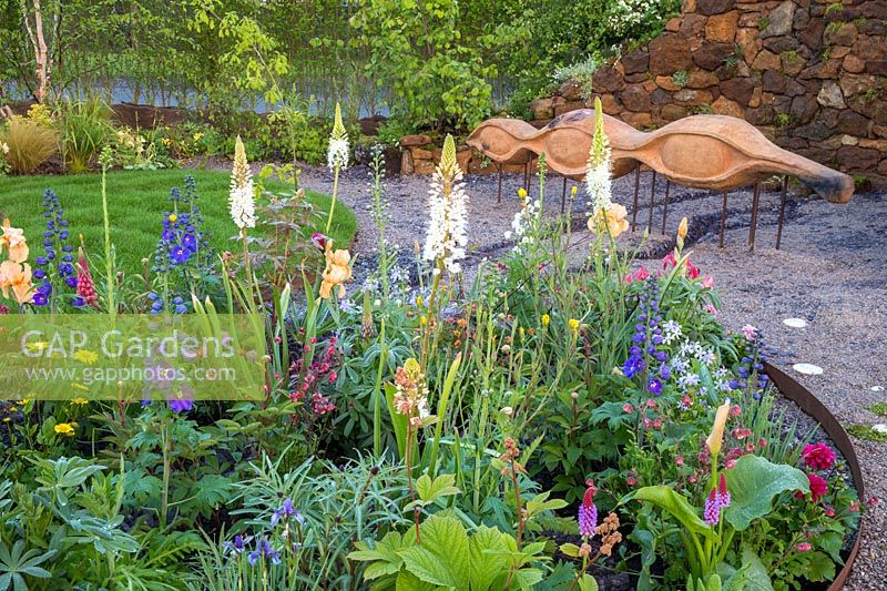 Small flower bed planted with Irises, Eremurus, delphiniums, lupins Primula viallii - carved oak wood bench on gravel seating area - small lawn. Grace  and  Dignity garden. RHS Malvern Spring Festival May 2019  -  Designer Lucie Giselle Ponsford 