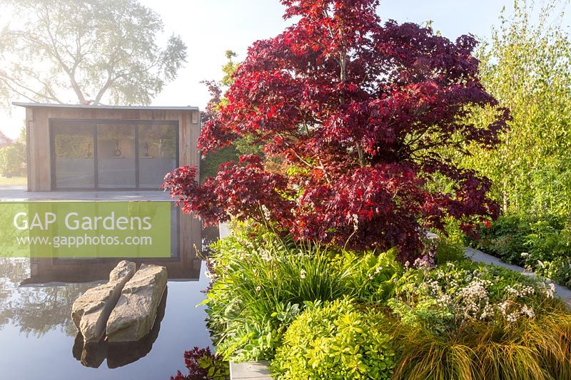 Office studio in front of reflective black pond water feature on a misty May spring day - mixed planted border with grasses ferns and green foliage plants - Acer palmatum 'Bloodgood' Garden of Quiet Contemplation garden. RHS Malvern Spring Festival 2019  - Designer Peter Dowle - Leaf Creative 